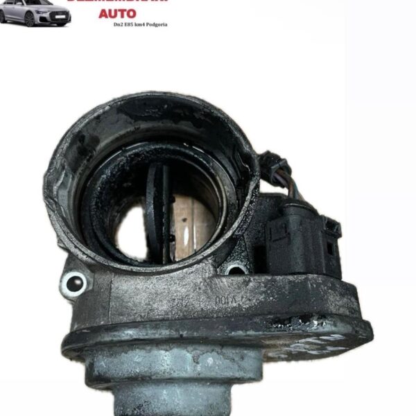 Clapeta Acceleratie Volkswagen Golf 5 1.9TDI 2006